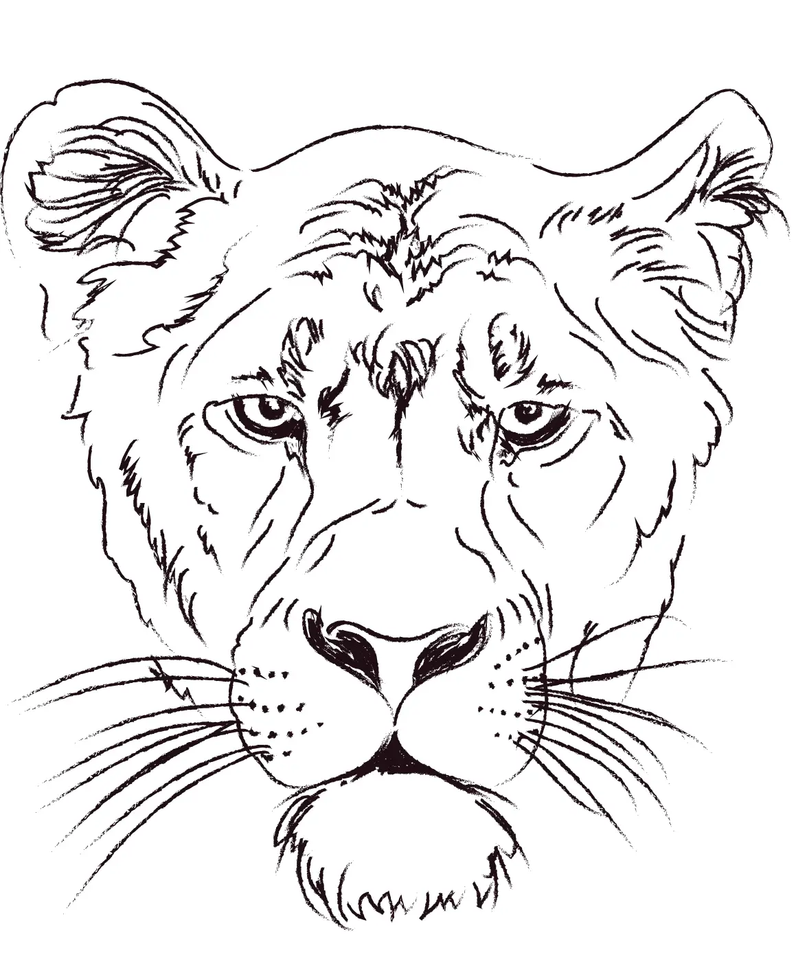Coloriage Lioness Head - Lion à imprimer