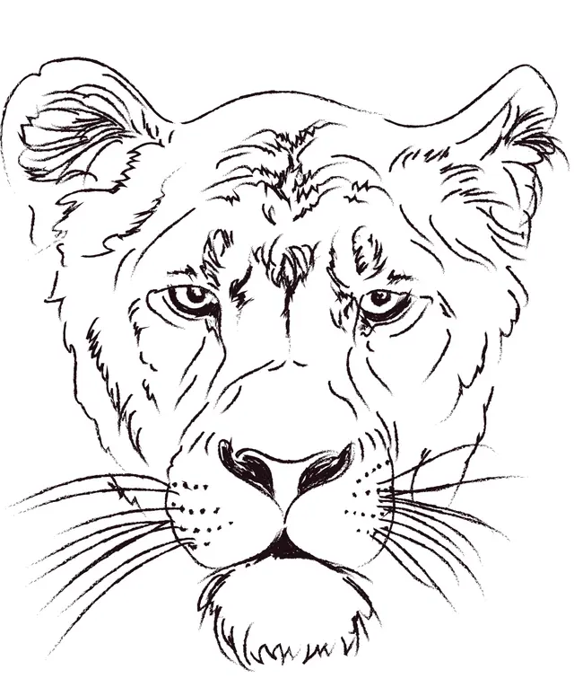 Coloriage Lioness Head - Lion à imprimer