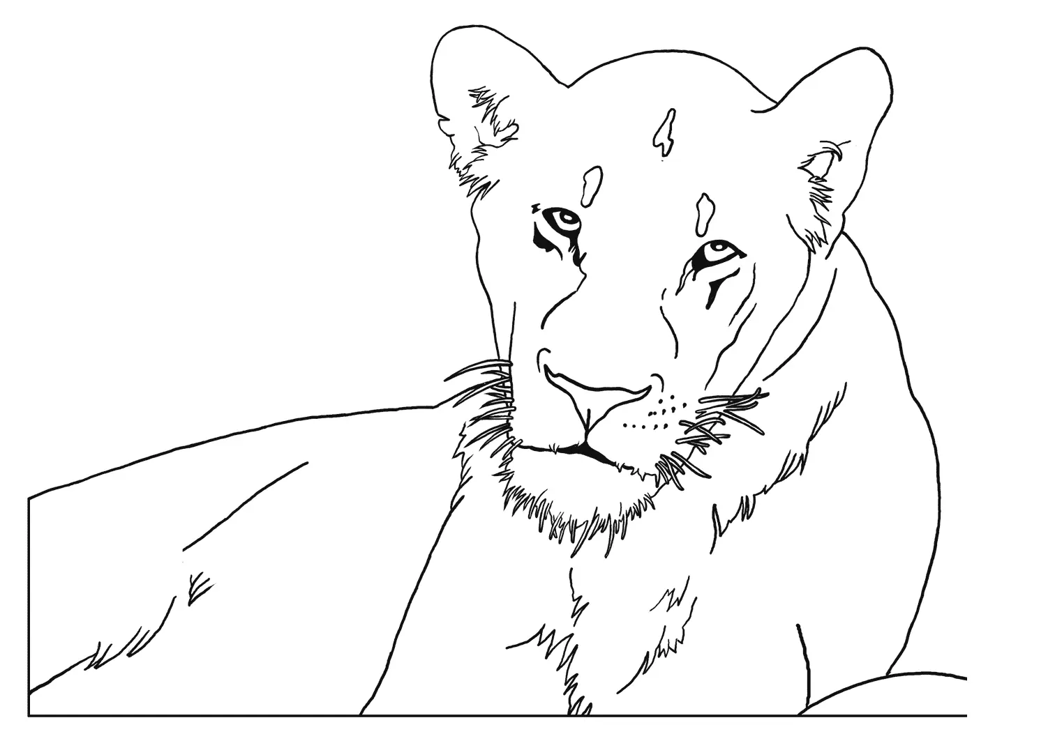 Coloriage Lioness - Lion à imprimer