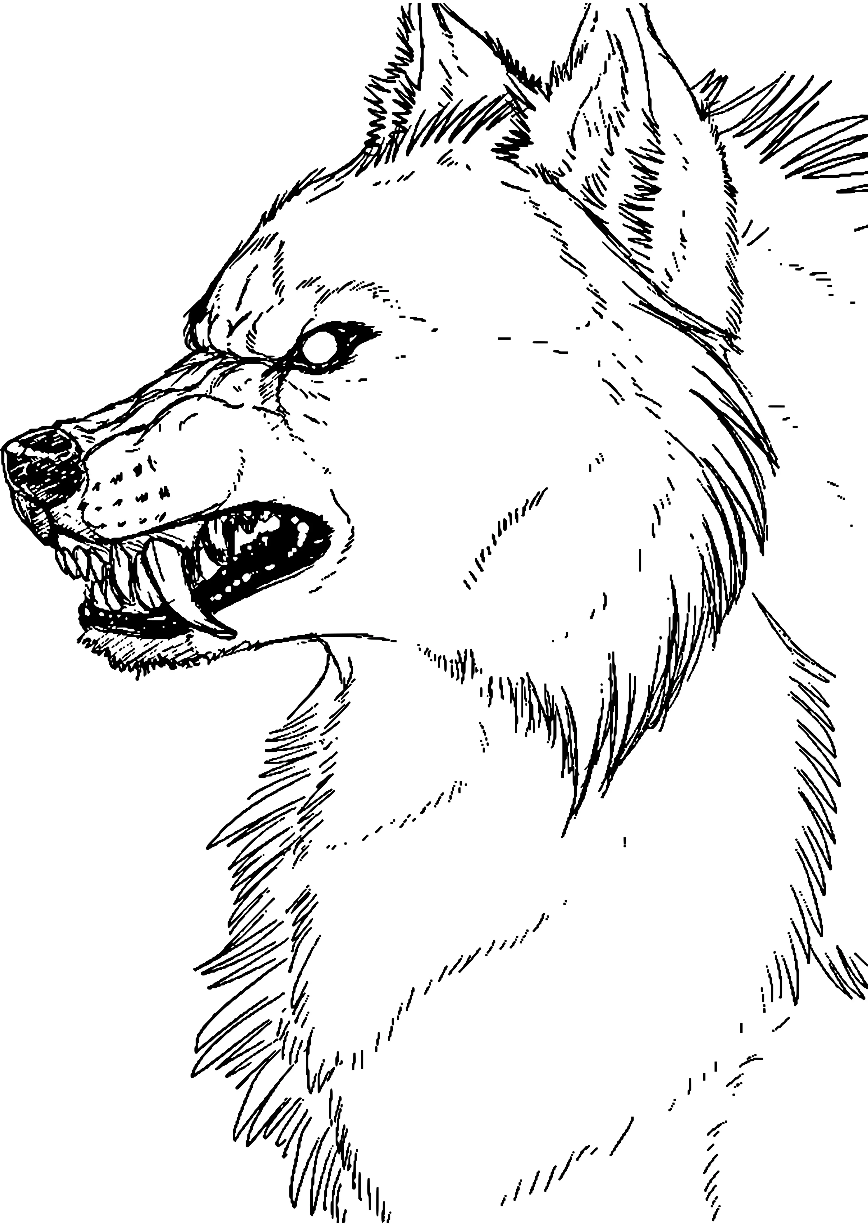 Coloriage Loup Garou - Étoile à imprimer