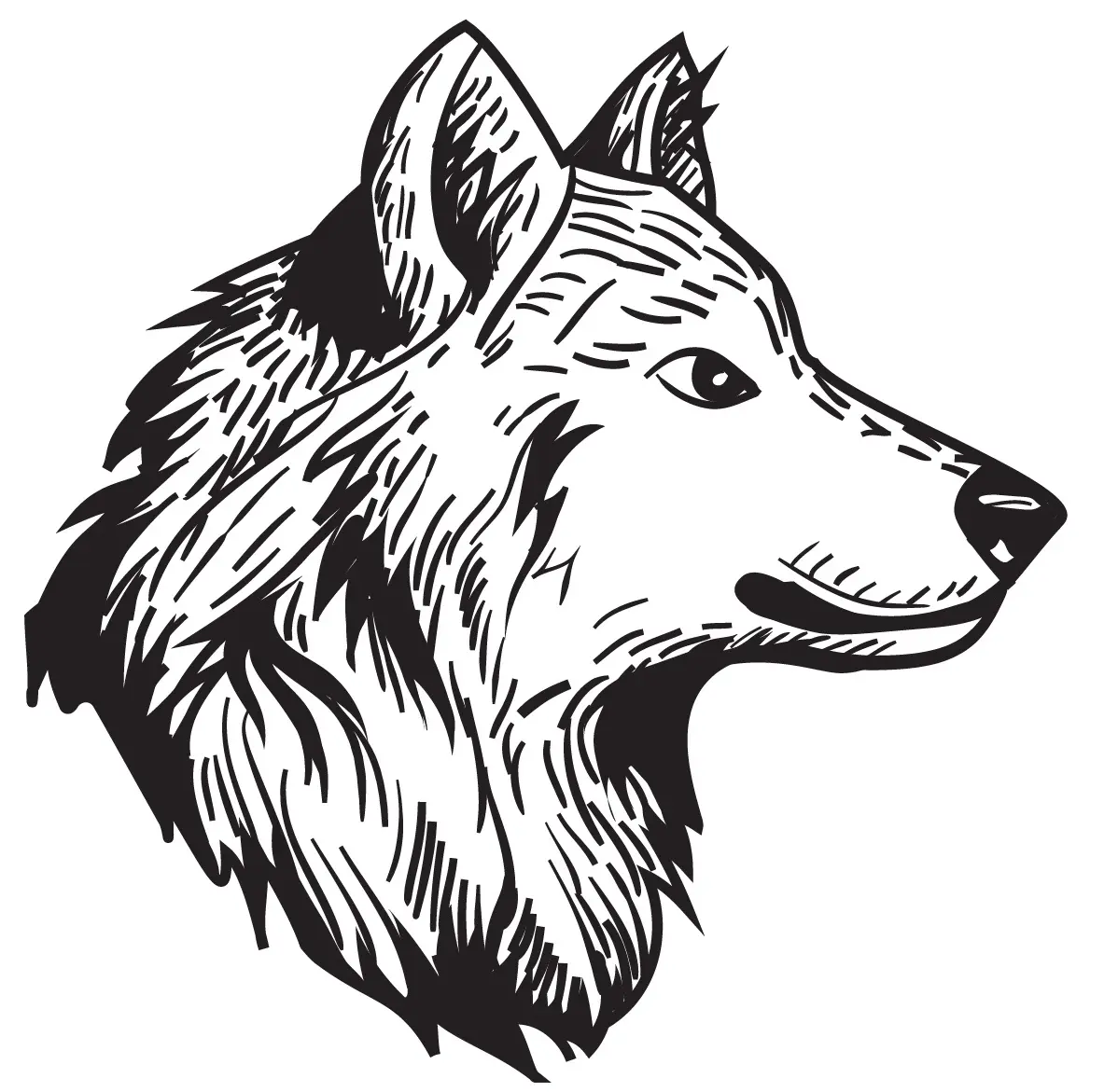 Coloriage Loup Male Animal - Loup à imprimer