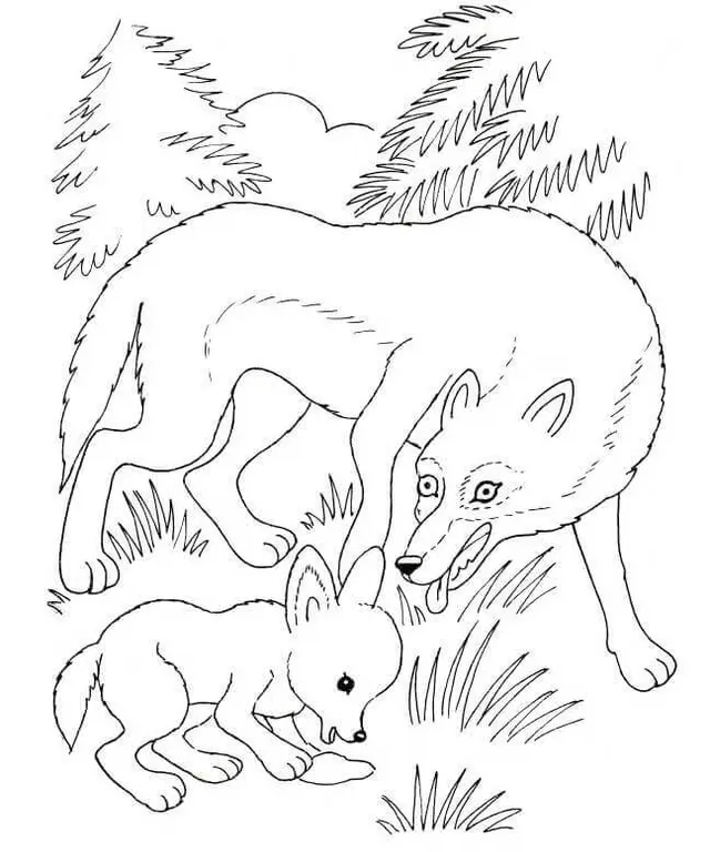 Coloriage Louve Et Louveteau - Loup à imprimer
