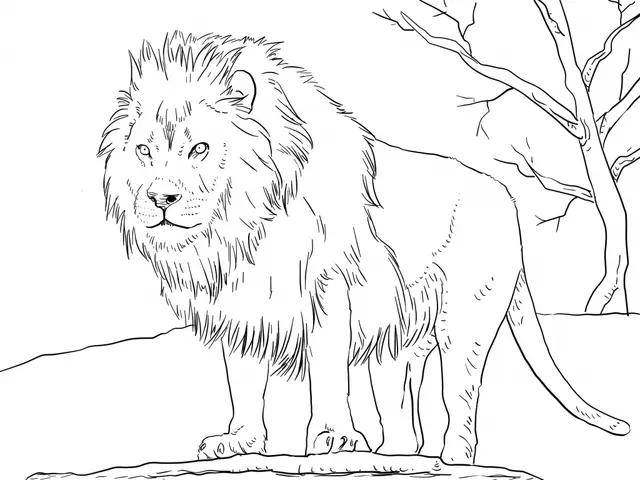 Coloriage Male African Lion - Lion à imprimer