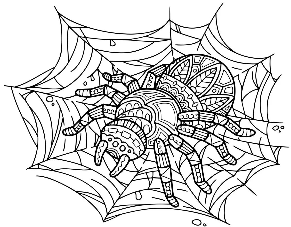 Disegno di Mandala Adulto Ragno Zentangle da stampare