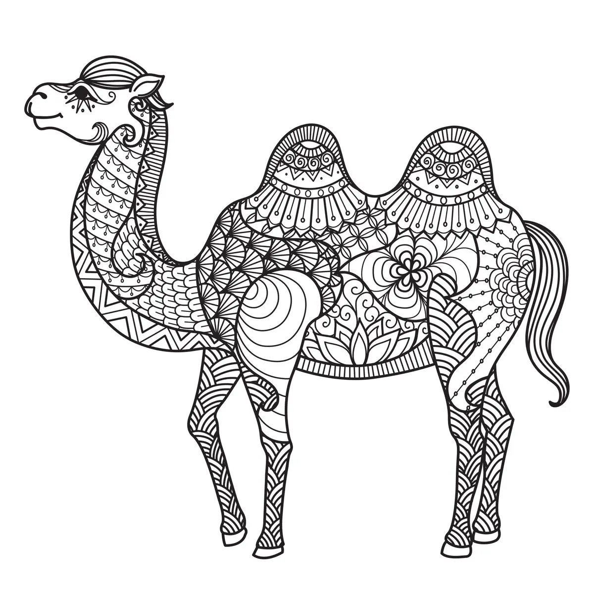 Ausmalbild Mandala Ägypten Kamel zum Ausdrucken
