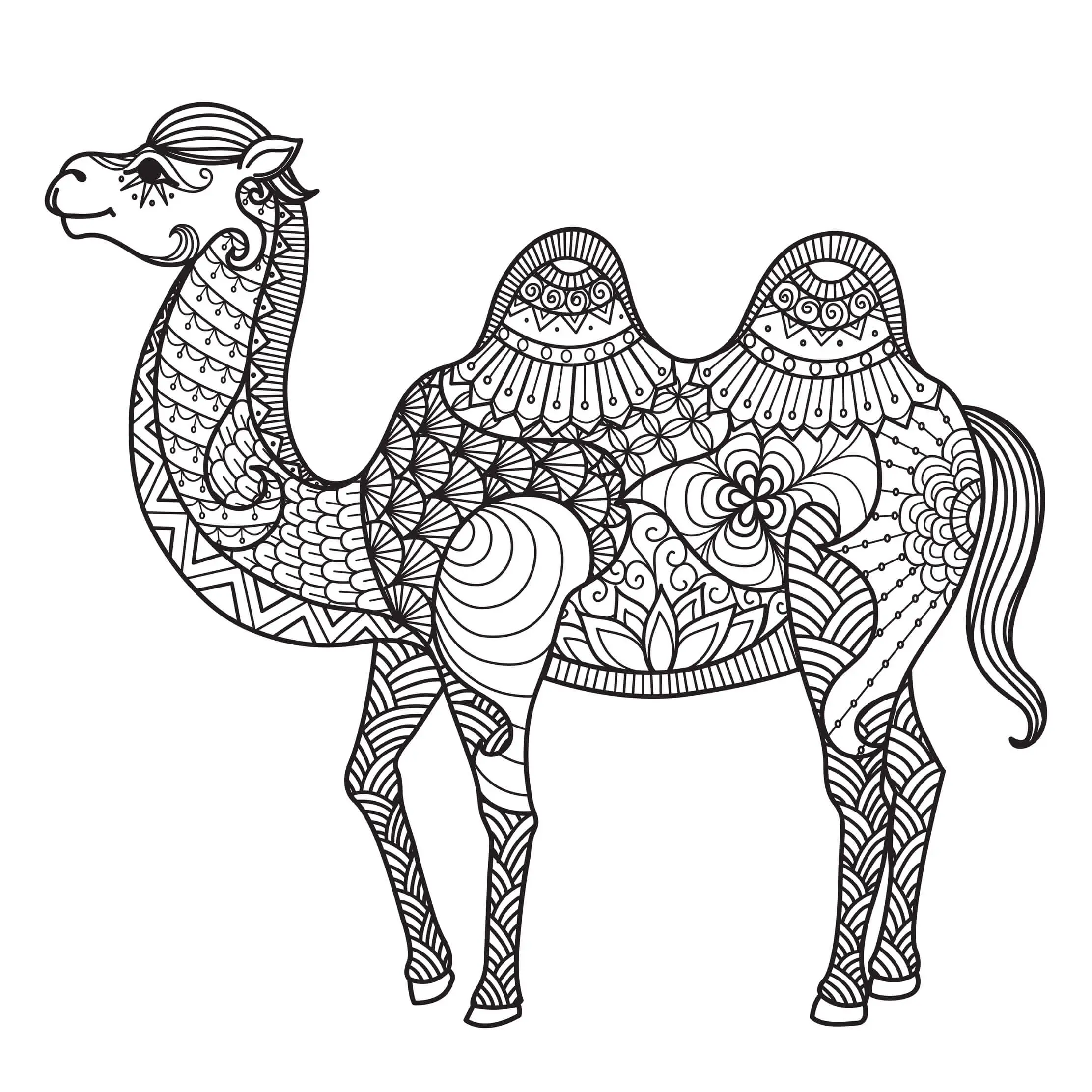 Coloriage Mandala Égypte Chameau - Égypte à imprimer