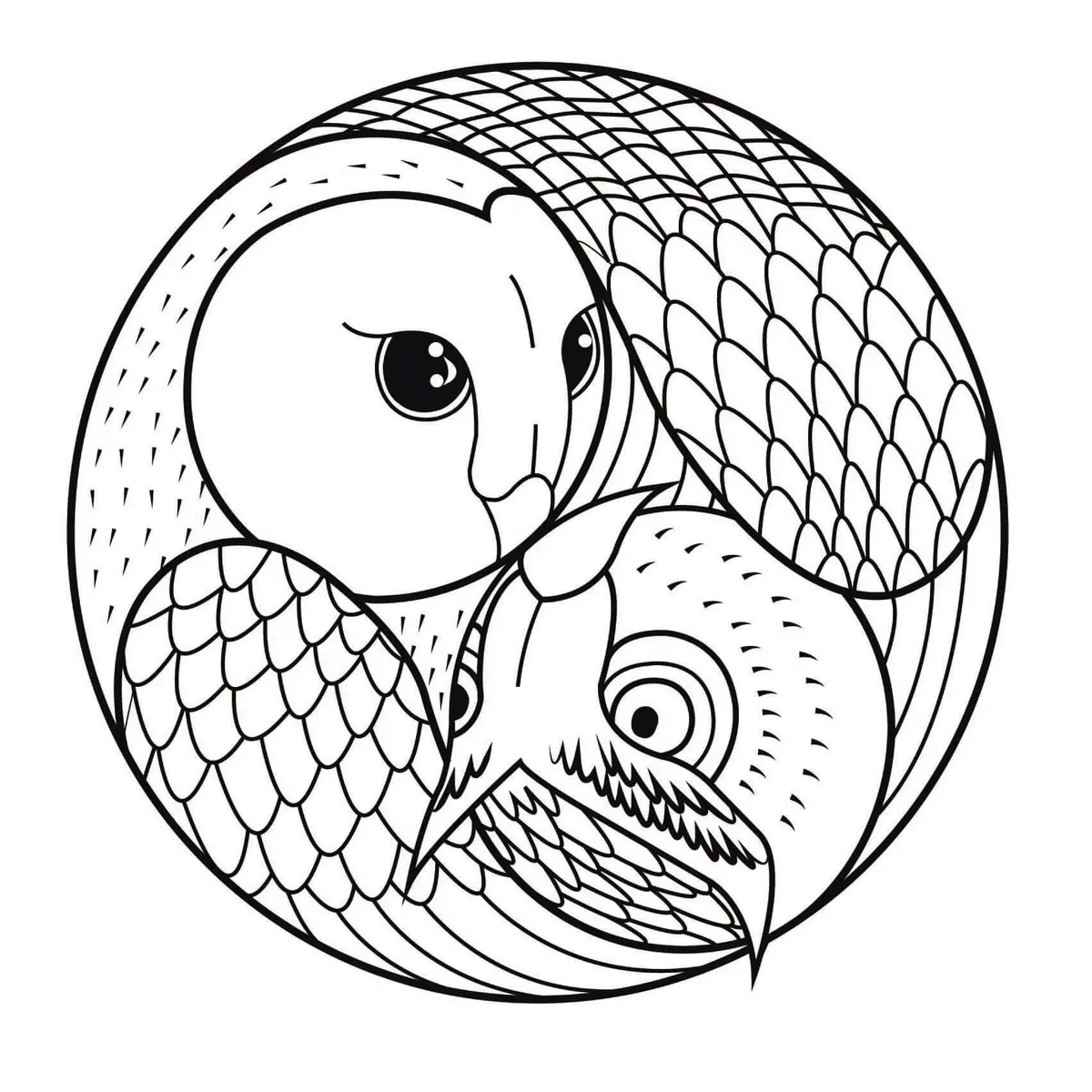 Disegno di Mandala Gufo e Civetta da stampare