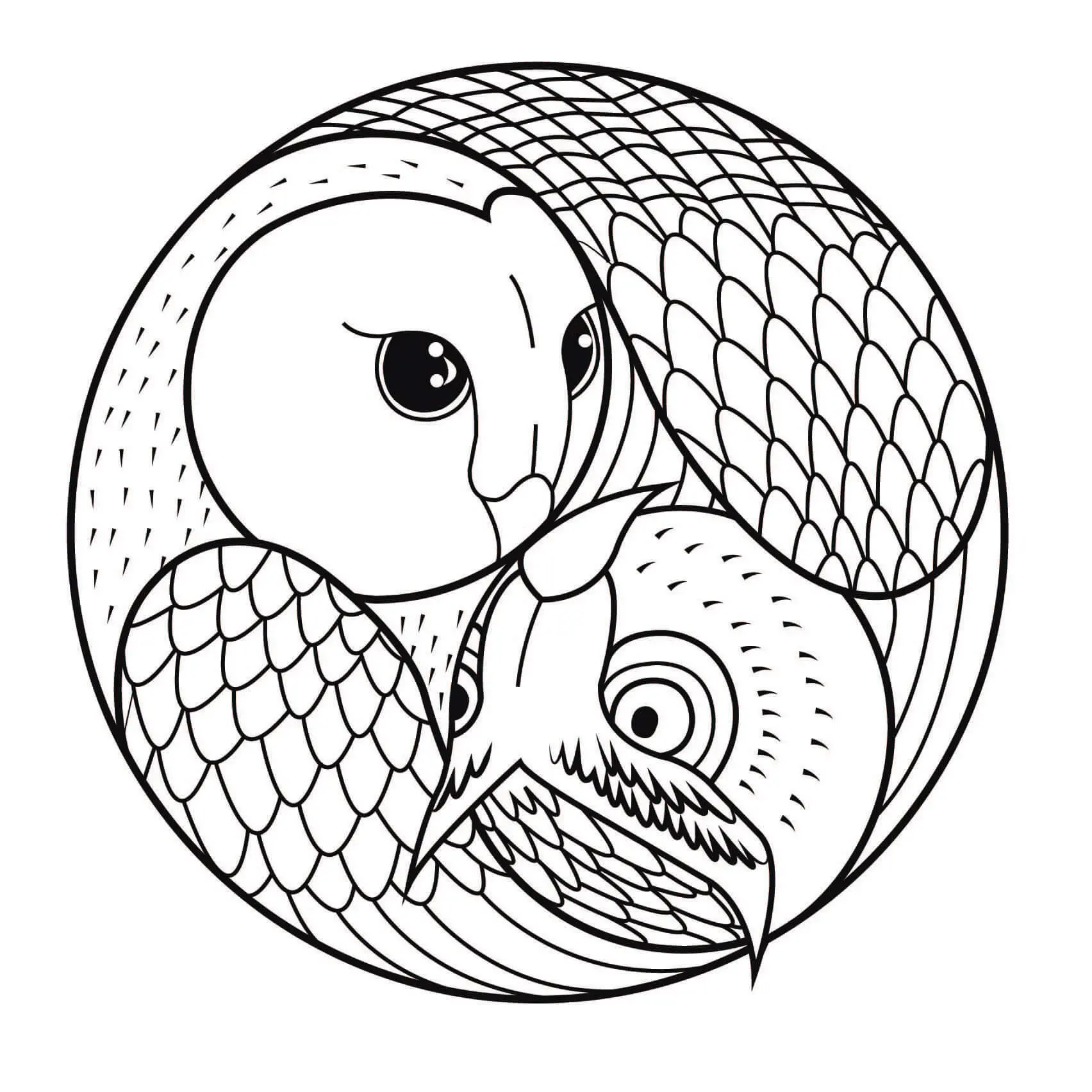 Coloriage Mandala Hibou Et Chouette - Chouette à imprimer