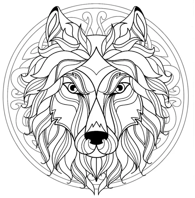 Coloriage Mandala Tête Loup Canis Lupus - Mandala à imprimer