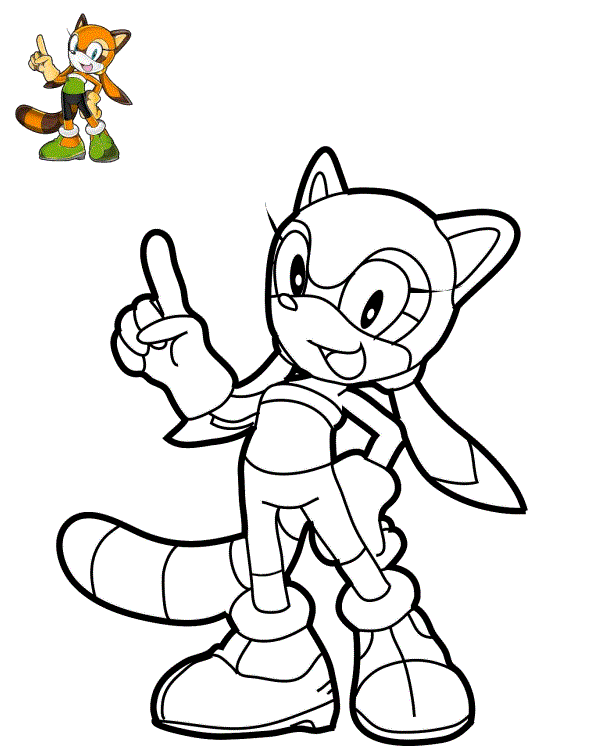 Disegno di Marine il Procione di Sonic da stampare