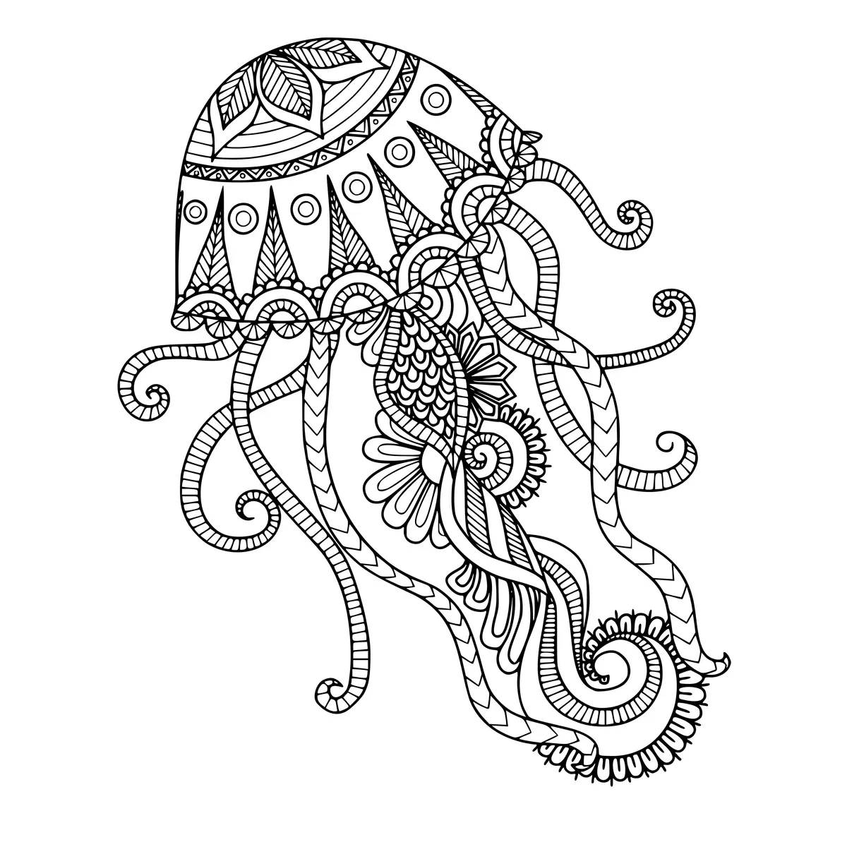 Coloriage Meduse Dessin Adulte Zentangle - Adulte à imprimer