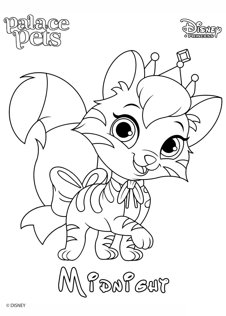 Coloriage Midnight Princess Disney - Palace pets à imprimer