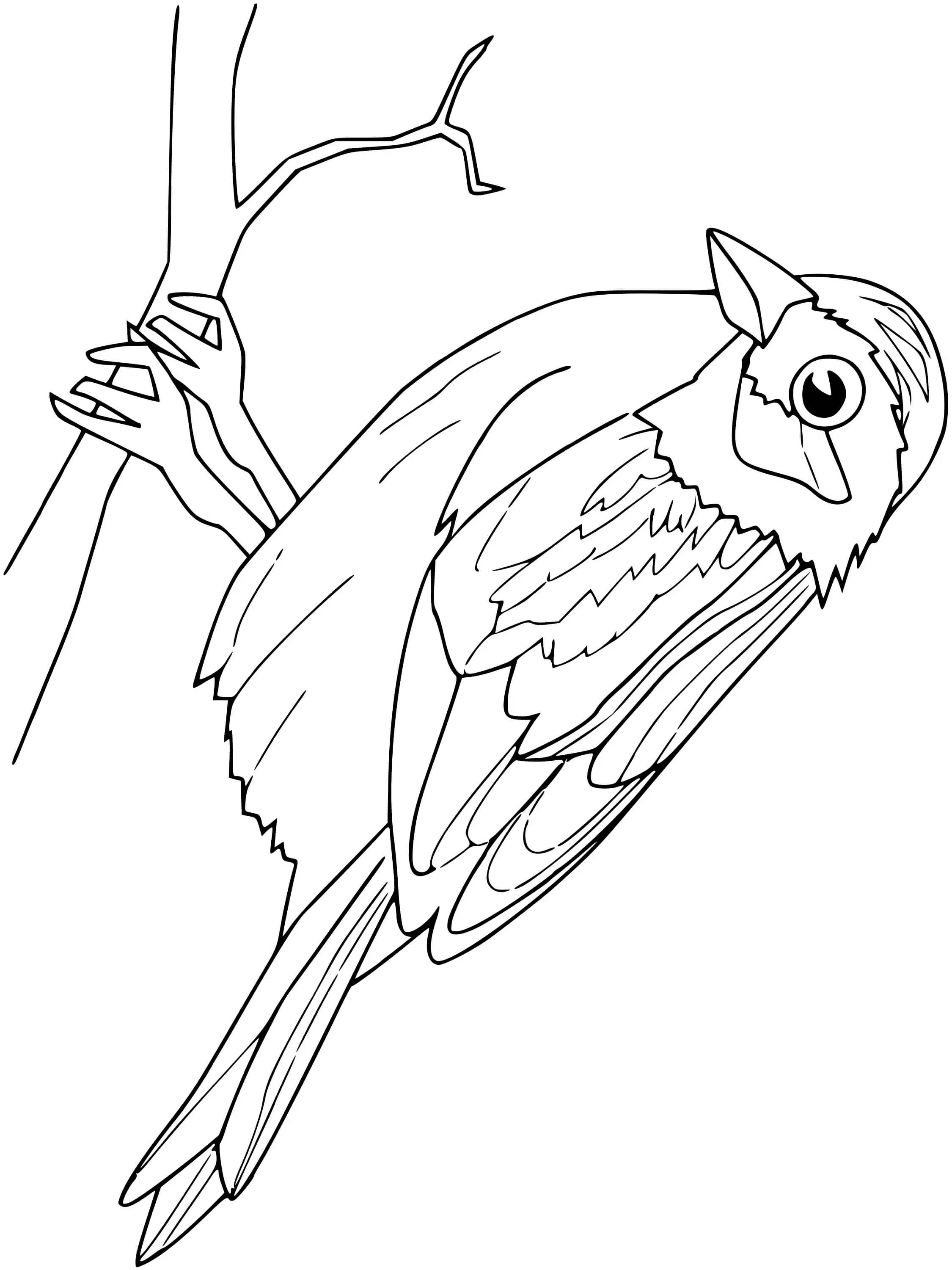 Coloriage Moineau - Oiseau à imprimer