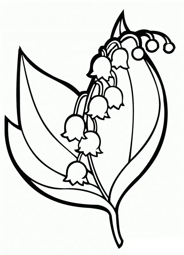 Ausmalbild Maiglöckchen in der Hand – Blume des Glücks zum Ausdrucken