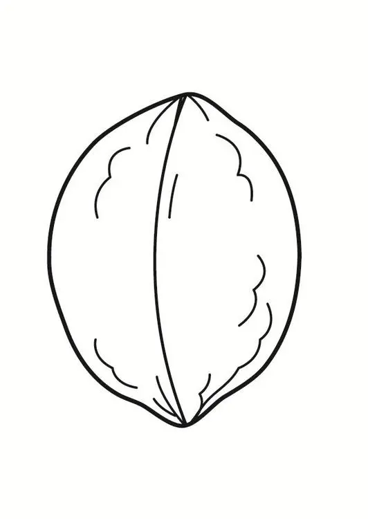 Simple and Easy Walnut coloring page to print