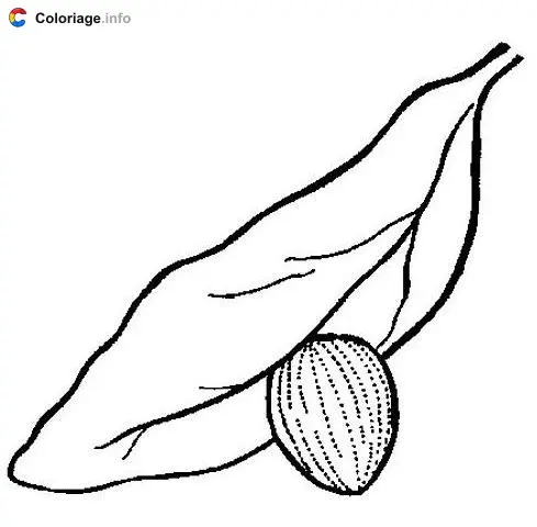 Butterfly Egg coloring page to print