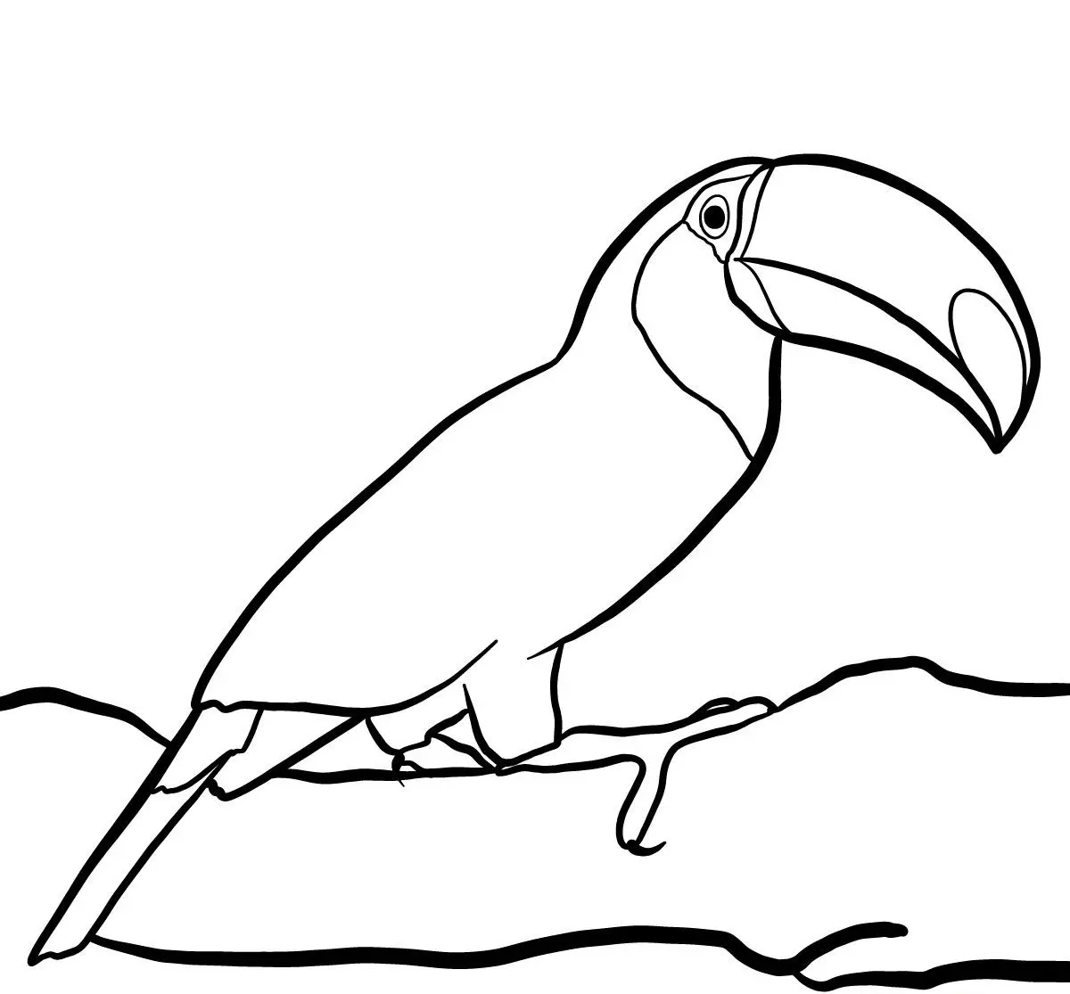 Toco Toucan in the Tropical Rainforest coloring page to print