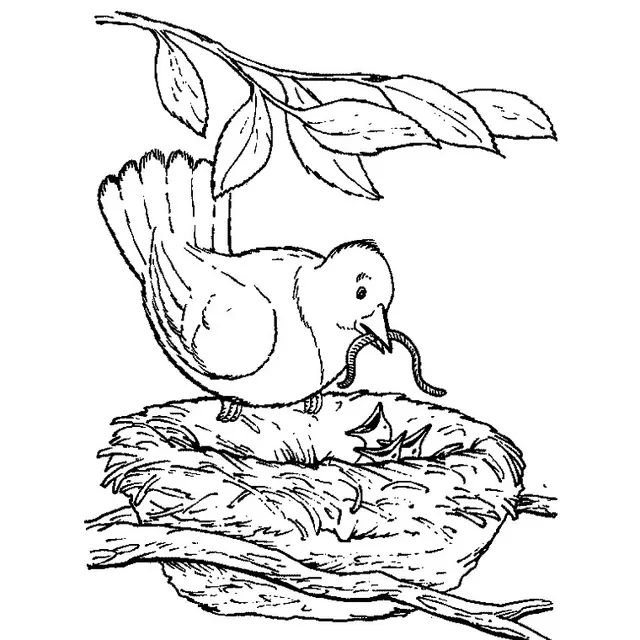 Coloriage Oiseau Nid - Oiseau à imprimer