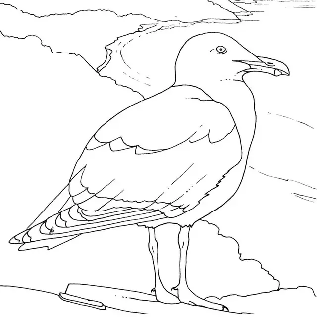 Coloriage Oiseaux De Mer - Oiseau à imprimer