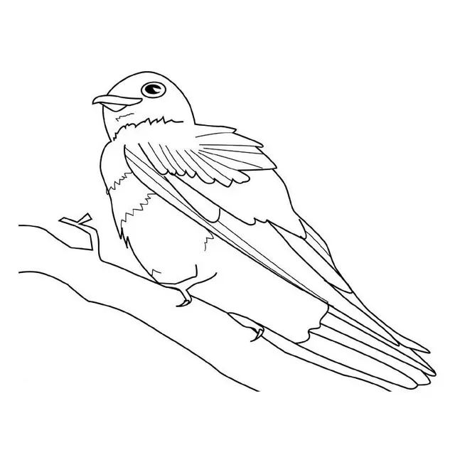 Coloriage Oiseaux Migrateurs - Oiseau à imprimer