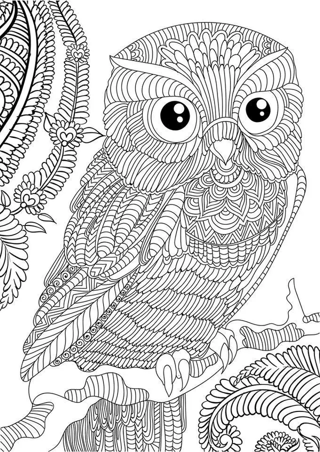 Coloriage Owl Adult Animal Anti Stress - Adulte à imprimer