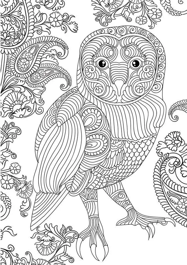 Coloriage Hibou magnifique - Difficile - Adulte à imprimer
