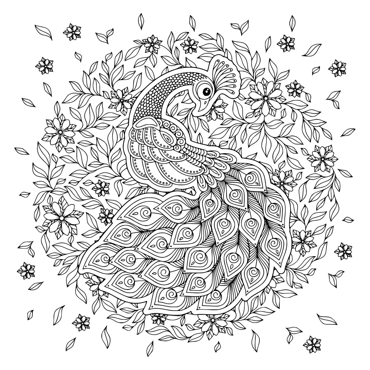 Coloriage Paon antistress pour adulte en noir et blanc - Adulte à imprimer