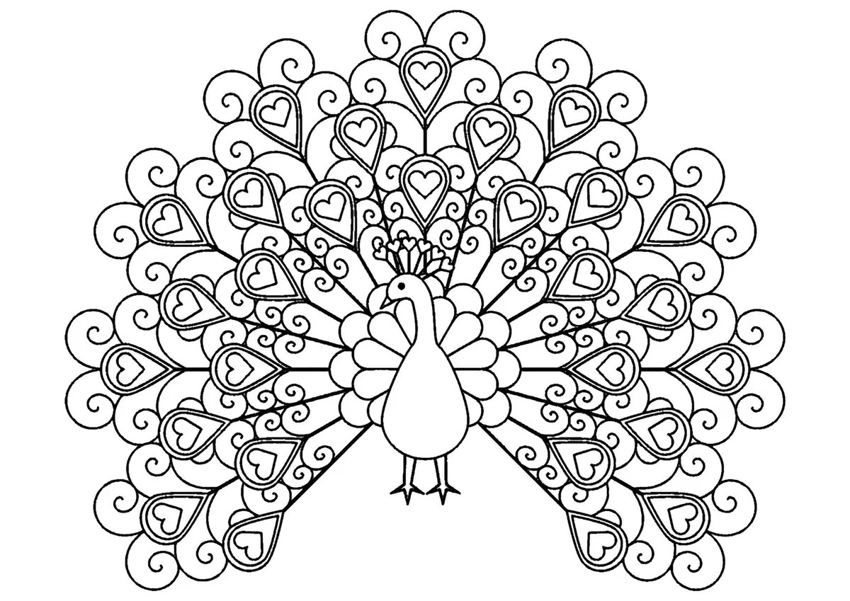 Disegno di Pavone con piume a forma di cuori da stampare