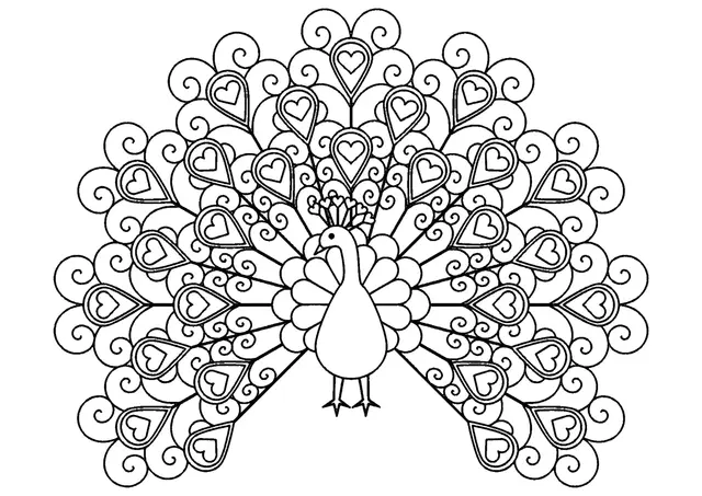 Coloriage Paon Oiseau Forme De Cœurs - Paon à imprimer