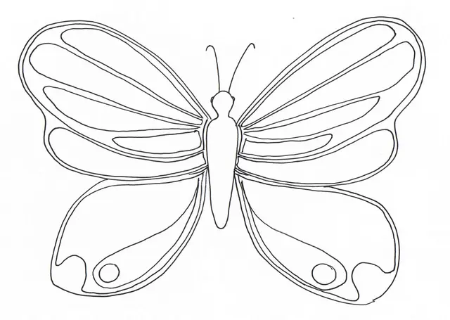 Coloriage Papillon aux motifs complexes - Papillon à imprimer