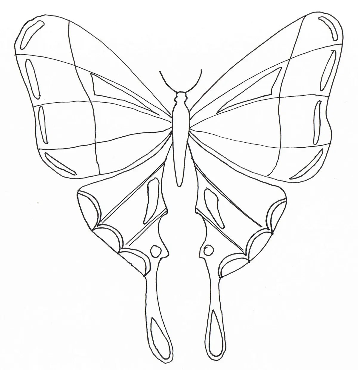 Disegno di Farfalla elegante in volo tra i fiori da stampare