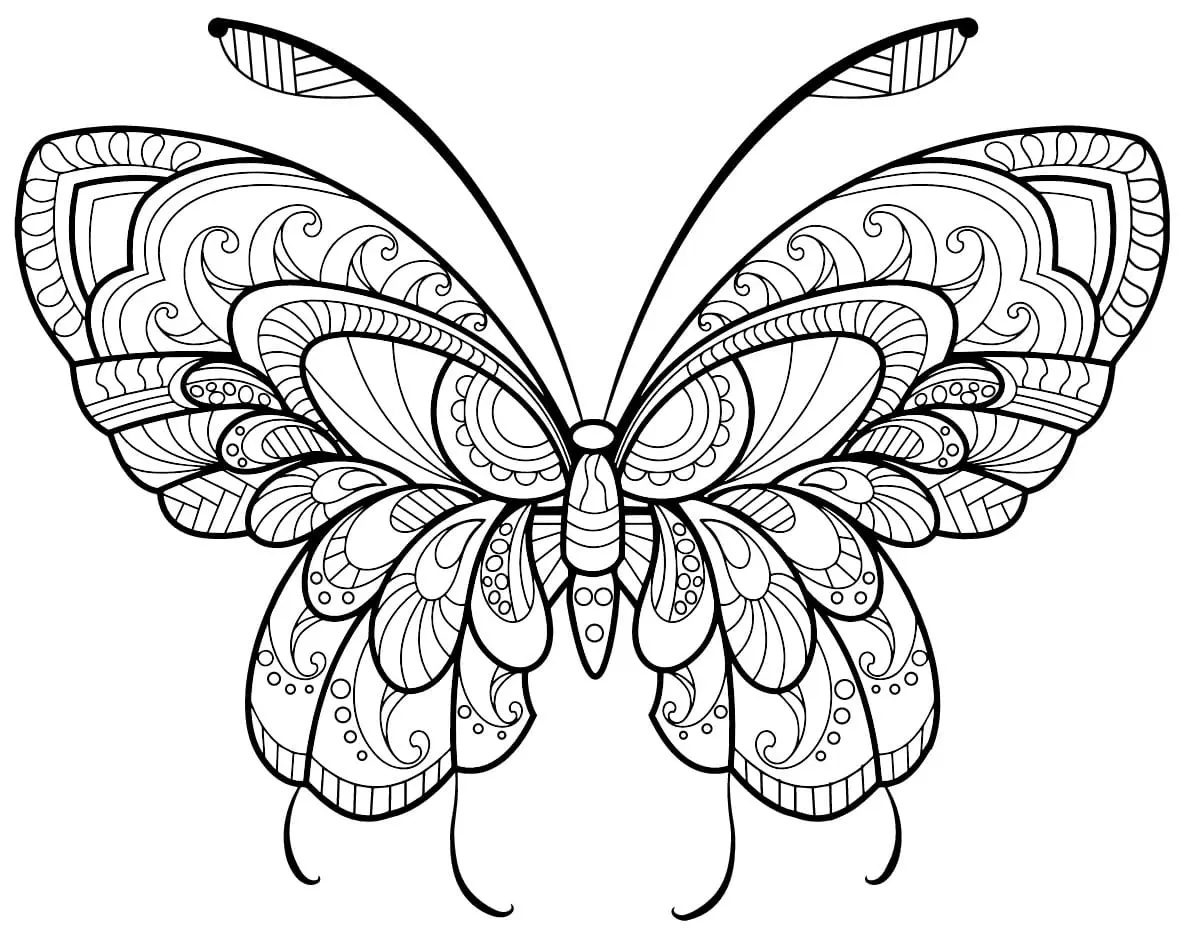 Coloriage Papillon Adulte Jolis Motifs 11 Min - Adulte papillon à imprimer