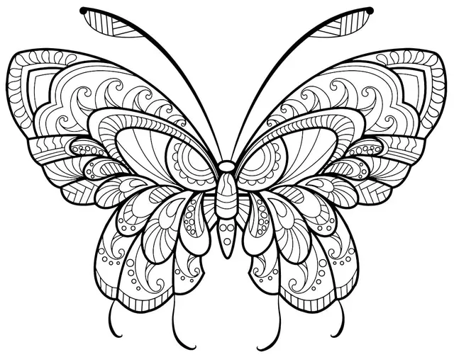 Coloriage Papillon Adulte Jolis Motifs 11 Min - Adulte papillon à imprimer