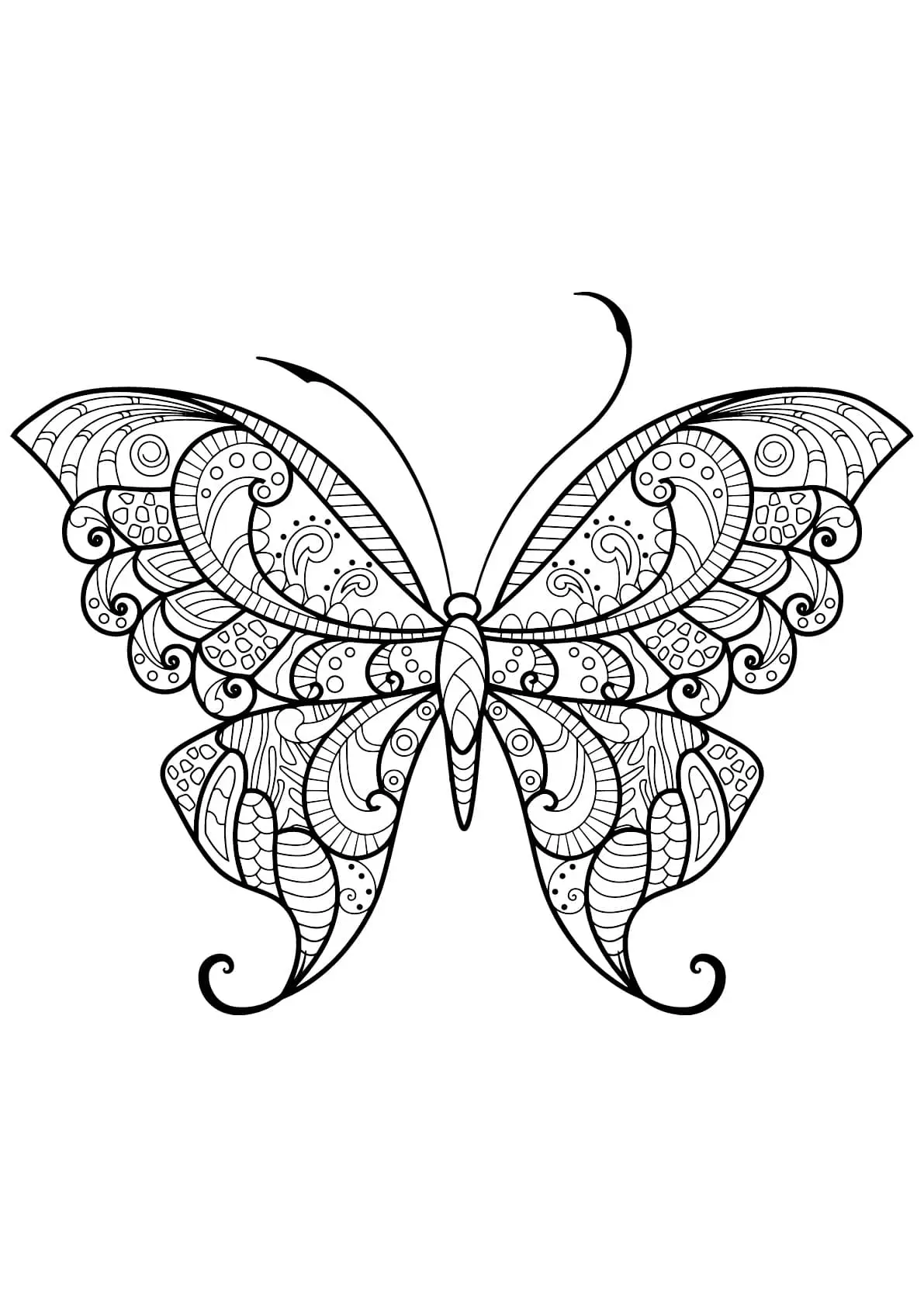 Coloriage Papillon Adulte Jolis Motifs 12 Min - Adulte papillon à imprimer
