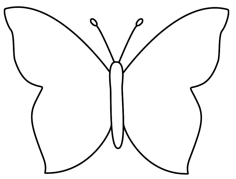 Coloriage Papillon aux ailes délicates - Facile à imprimer