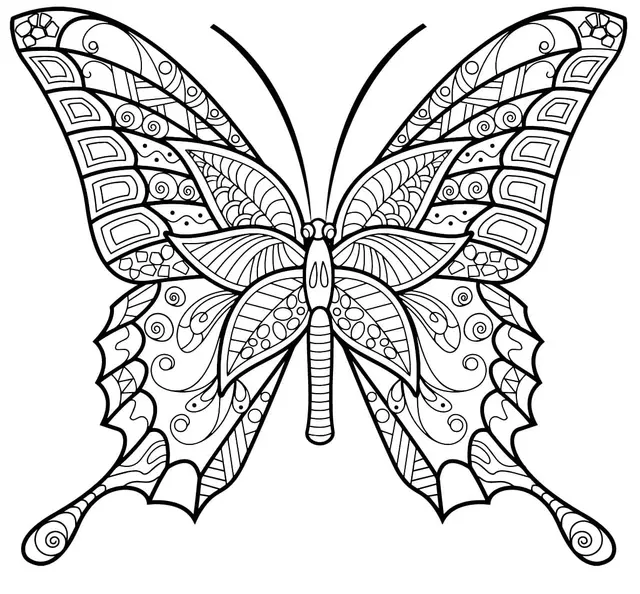Coloriage Papillon Insecte Jolis Motifs 6 Min - Adulte papillon à imprimer