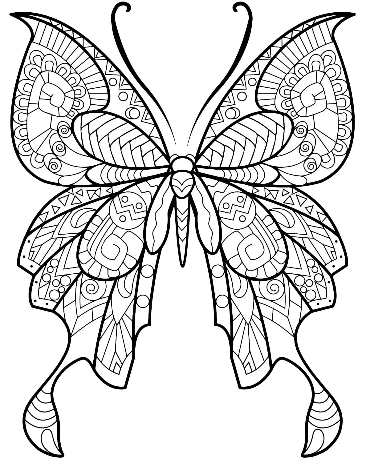 Coloriage Papillon Insecte Jolis Motifs 8 Min - Adulte papillon à imprimer