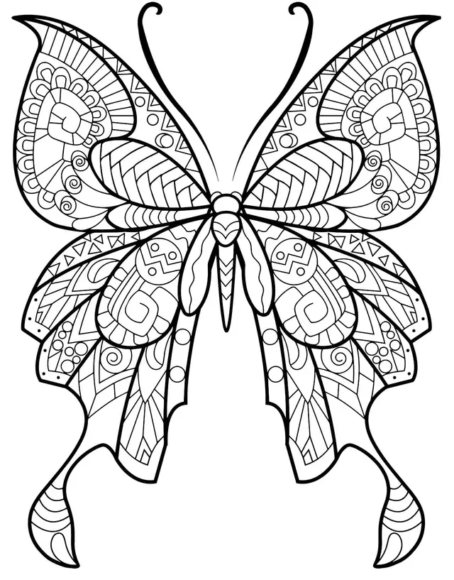 Coloriage Papillon Insecte Jolis Motifs 8 Min - Adulte papillon à imprimer
