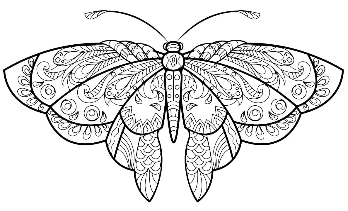 Coloriage Papillon Jolis Motifs 1 Min - Adulte papillon à imprimer
