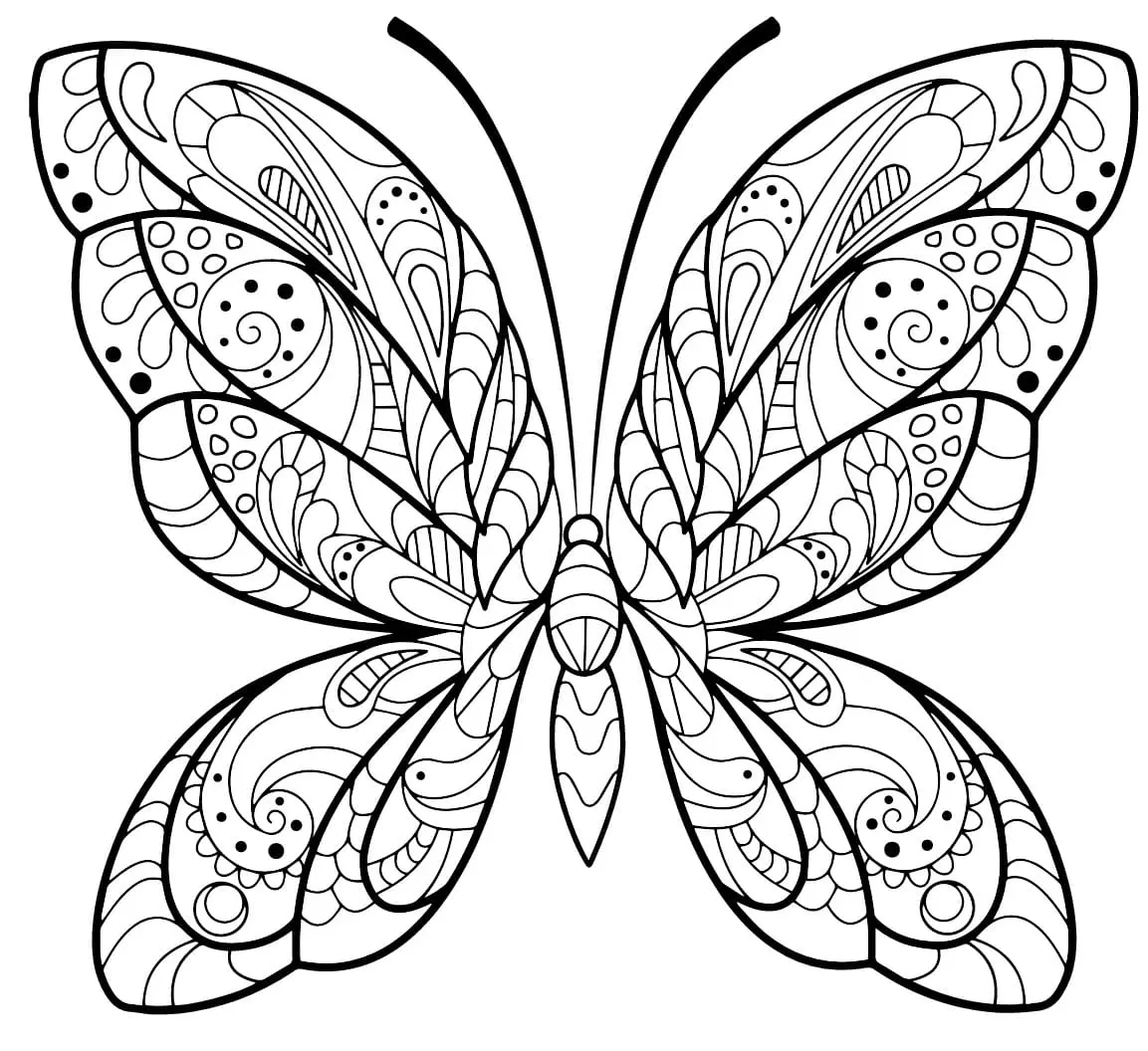 Coloriage Papillon Jolis Motifs 2 Min - Adulte papillon à imprimer