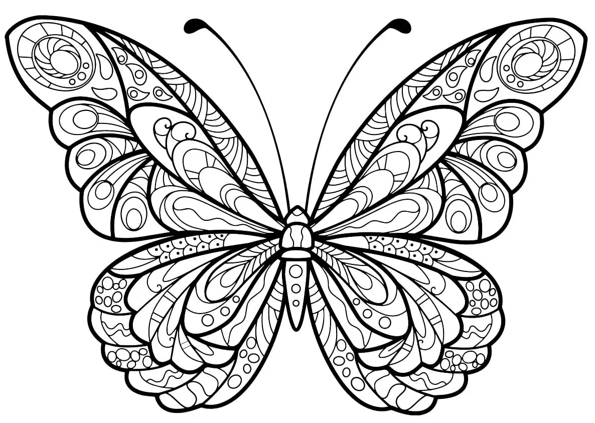 Coloriage Papillon Jolis Motifs 5 Min - Adulte papillon à imprimer