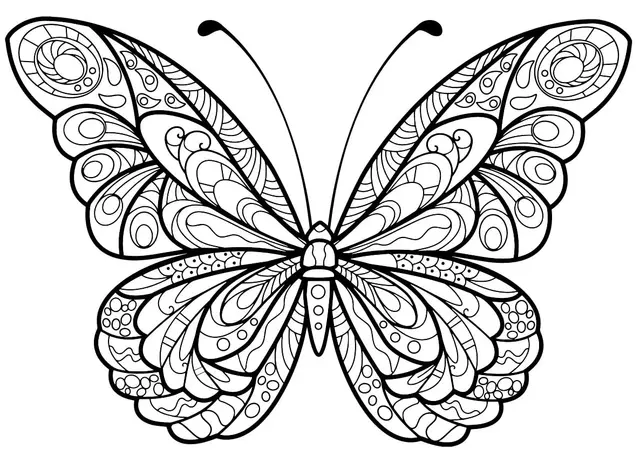 Coloriage Papillon Jolis Motifs 5 Min - Adulte papillon à imprimer