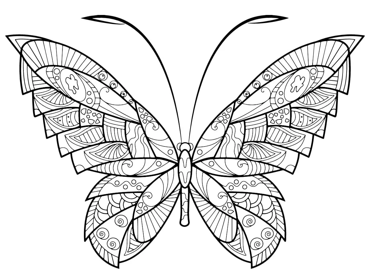 Coloriage Papillon Zentangle Jolis Motifs 17 Min - Adulte papillon à imprimer