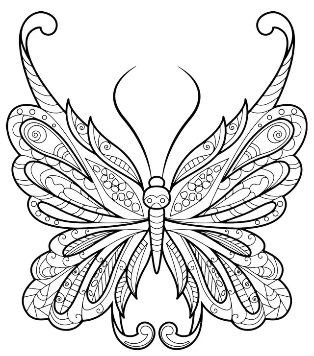 Coloriage Papillon Zentangle Jolis Motifs 18 Min - Adulte papillon à imprimer