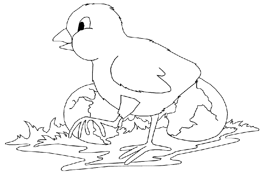 Coloriage Pâques Eclosion Poussin - Pâques à imprimer