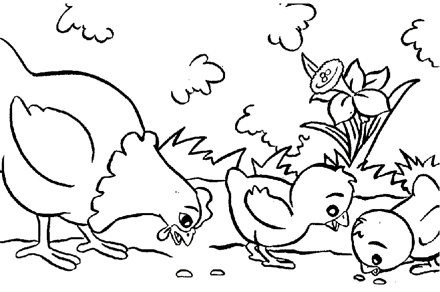 Coloriage Pâques Poule Et Des Poussins Qui Picorent - Poule à imprimer