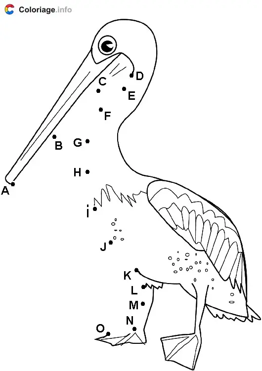 Coloriage Pélican avec un long bec - Points a relier à imprimer