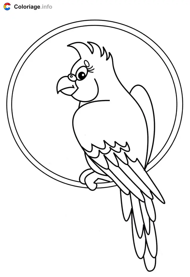 Coloriage Perroquet assis sur un cercle - Perroquet à imprimer