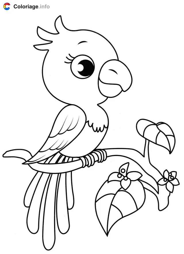 Coloriage Perroquet facile maternelle - Perroquet à imprimer