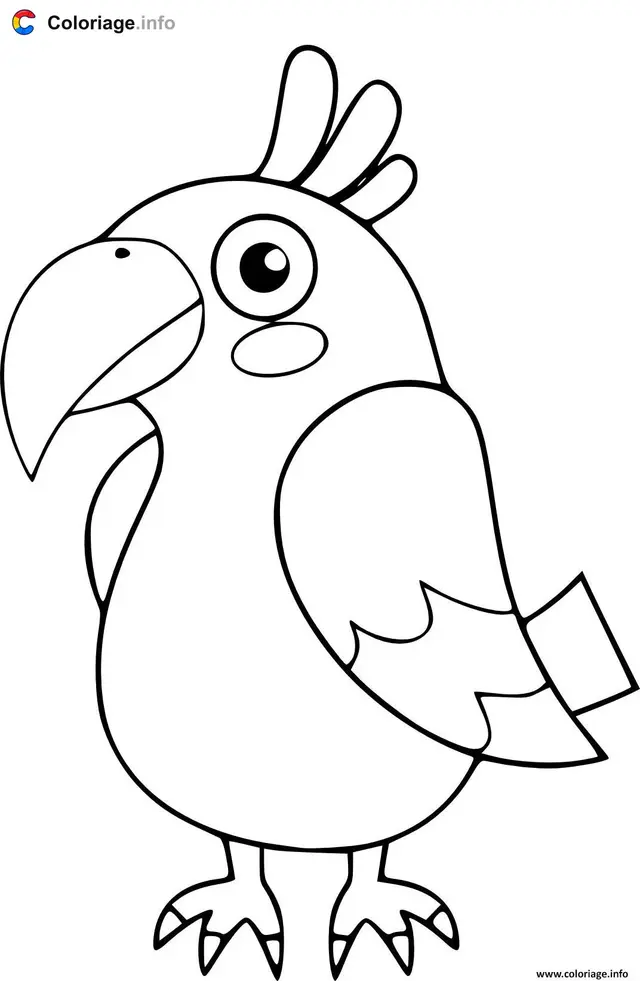 Coloriage Perroquet oiseau maternelle pour enfants - Perroquet à imprimer